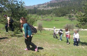 1Abant